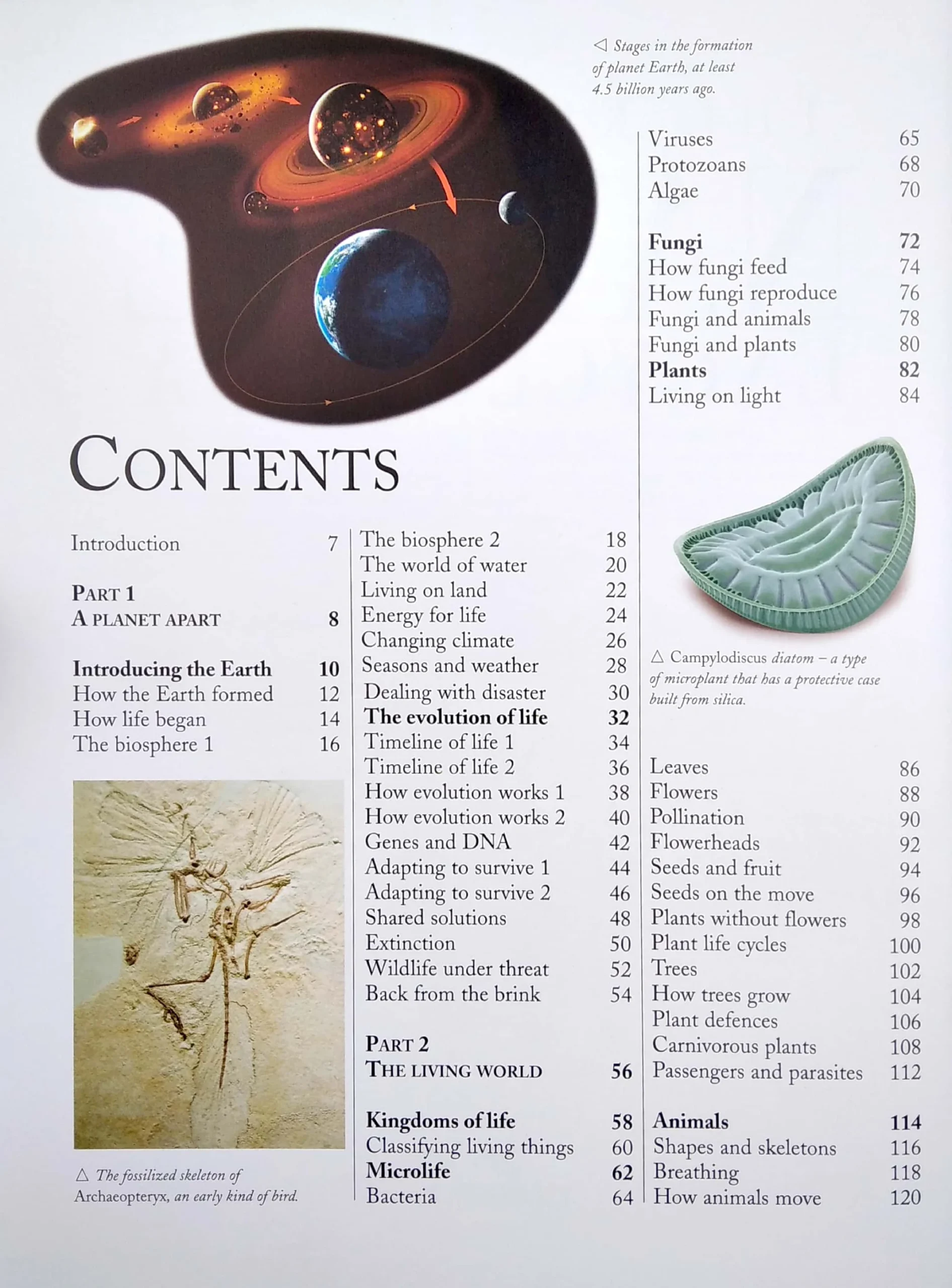 the_kingfisher_nature_encyclopedia_2_2021_04_02_15_34_37