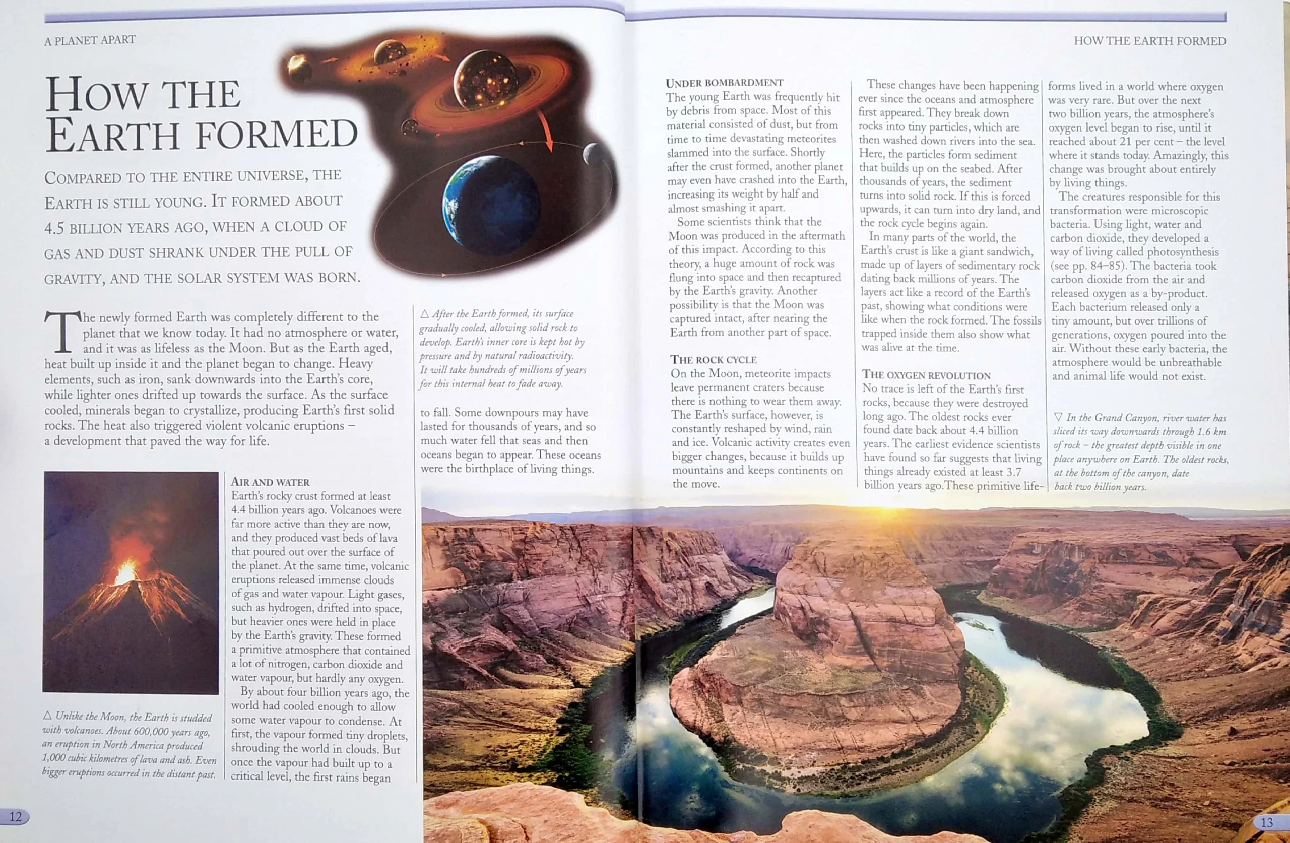 the_kingfisher_nature_encyclopedia_5_2021_04_02_15_34_37